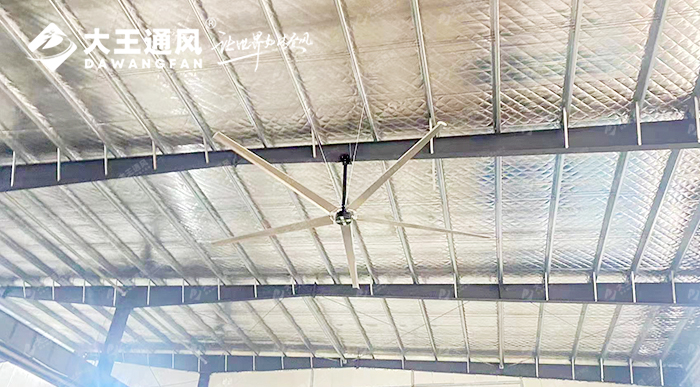 4fde3a0fe400c82f21dcc324bd852779.jpg 20231016/4fde3a0fe400c82f21dcc324bd852779.jpg