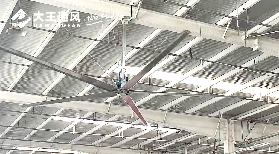 8d977cf7dc2ef48ecc4651ec27d2e18d.jpg 20231225/8d977cf7dc2ef48ecc4651ec27d2e18d.jpg